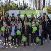 VII Marcha contra el cáncer en Castelló