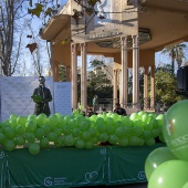 VII Marcha contra el cáncer en Castelló