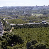 Romeria de les Canyes