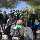 Romeria de les Canyes