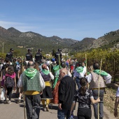 Romeria de les Canyes