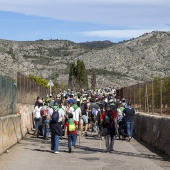 Romeria de les Canyes