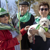 Romeria de les Canyes