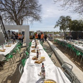 Romeria de les Canyes