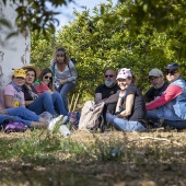 Romeria de les Canyes