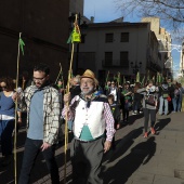 Romeria de les Canyes