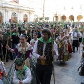 Romeria de les Canyes