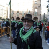 Romeria de les Canyes