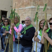 Romeria de les Canyes