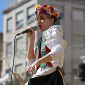 Festival internacional de música de festa