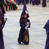 XXX Procesión Diocesana