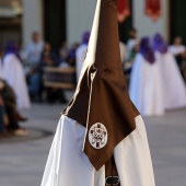 XXX Procesión Diocesana