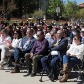 Amparo Marco, candidata Alcaldía Castelló