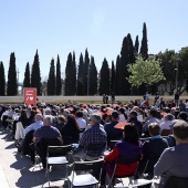 Amparo Marco, candidata Alcaldía Castelló