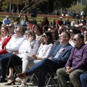 Amparo Marco, candidata Alcaldía Castelló