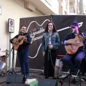 Benicàssim Flamenco Fusión Gastrofestival