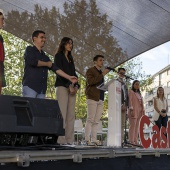 PSPV-PSOE