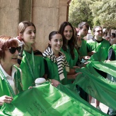 Asociación Española Contra el Cáncer