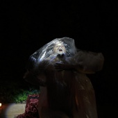 Nit de l´Art