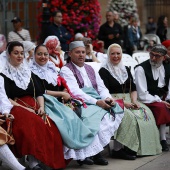 Festival de Danzas