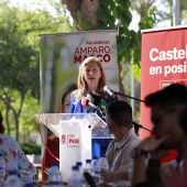Programa PSPV-PSOE