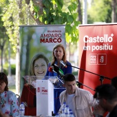 Programa PSPV-PSOE