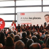 PSPV-PSOE