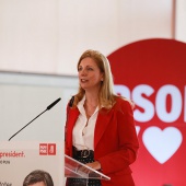 PSPV-PSOE