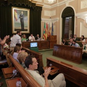 Pleno Ayuntamiento Castellón