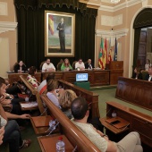 Pleno Ayuntamiento Castellón