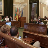 Pleno Ayuntamiento Castellón