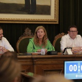 Pleno Ayuntamiento Castellón