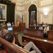 Pleno Ayuntamiento Castellón