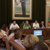 Pleno Ayuntamiento Castellón