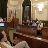 Pleno Ayuntamiento Castellón