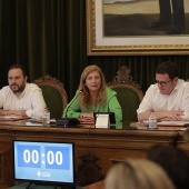 Pleno Ayuntamiento Castellón