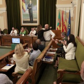 Pleno Ayuntamiento Castellón