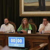 Pleno Ayuntamiento Castellón