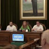 Pleno Ayuntamiento Castellón