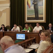 Pleno Ayuntamiento Castellón