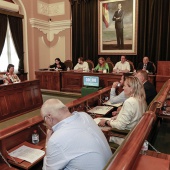 Pleno Ayuntamiento Castellón