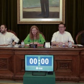 Pleno Ayuntamiento Castellón