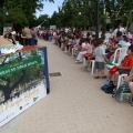 Castellón, Concurso dibujo