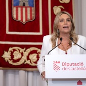 Presidenta de la Diputación