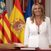 Presidenta de la Diputación