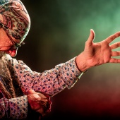 Concerts del Pinar