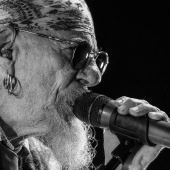 Concerts del Pinar