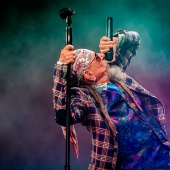 Concerts del Pinar