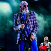 Concerts del Pinar