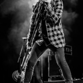 Concerts del Pinar